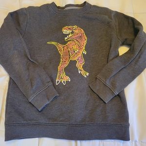 Kids Crewneck Dinosaur Sweatshirt
